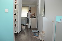 nickybaer_katzenfoto_201309_037